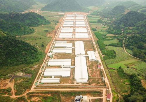 Trang trại NewHope Thanh Hóa