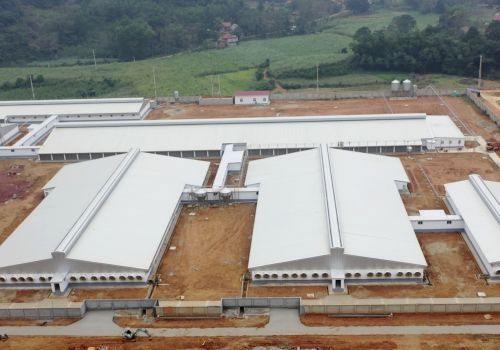 Trang trại NewHope Thanh Hóa