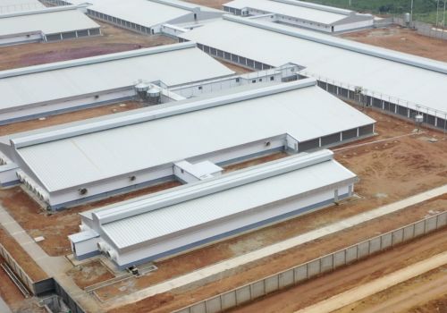 Trang trại NewHope Thanh Hóa