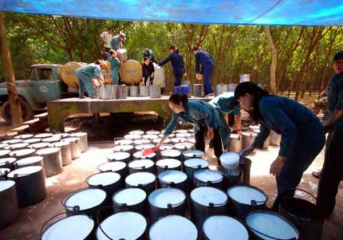 Cao su lỏng – vật liệu chống thấm mới cho nhà ở, công trình