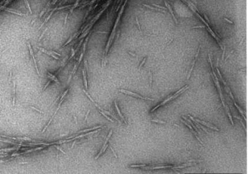 Điểm danh 5 “siêu” vật liệu xây dựng của tương lai